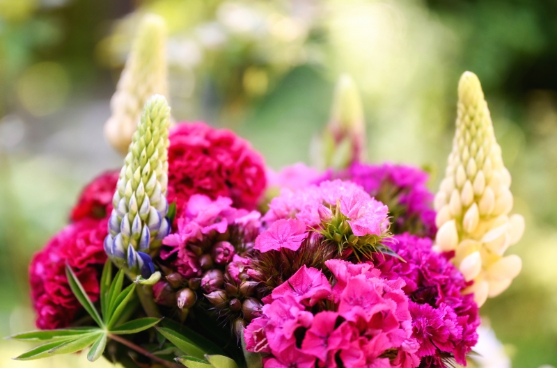 fleuriste-LEVENS-min_flowers-5369794